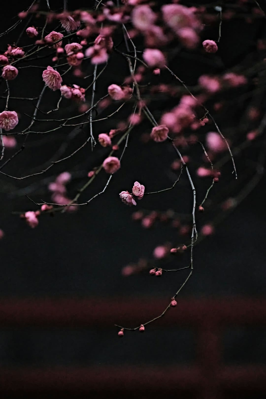 https://p1.img.cctvpic.com/photoworkspace/contentimg/2025/09/06/2025090610053811759.png